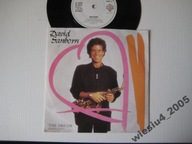 David Sanborn - The Dream [edited remix ] SP /UK/