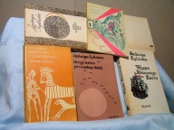 ŻYLIŃSKA MUZYKANCI Z BREMY POWIEŚCI CZAROWNICE x 8