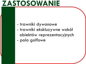 ДЕКОРАТИВНЫЕ семена газона ELITA 25 кг эстетика ŁÓDŹ