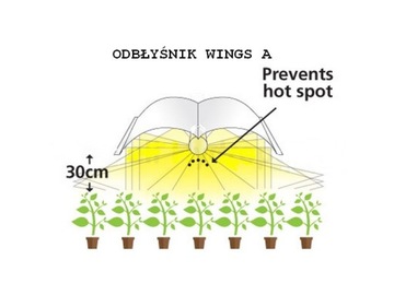 Отражатель HPS, MH 94X50 WINGS A