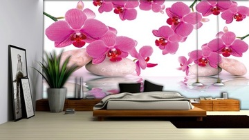 FOTOTAPETA ORCHIDEE KAMIENIE 9D V8 368x254 F151