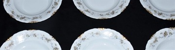 ROSENTHAL RC Versailles 6 почвенные диски 2 состояние диска.