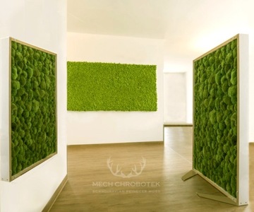 МОСС Reindeer Spring Green 5кг ПРЕМИУМ