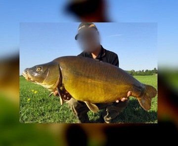 KARPIÓWKA SPRO X-RAY CARP 3,6m / 80-120g