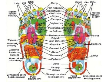 100 ZIOŁOWYCH PLASTRÓW DETOX OCZYSZCZAJĄ NA TOKSYN