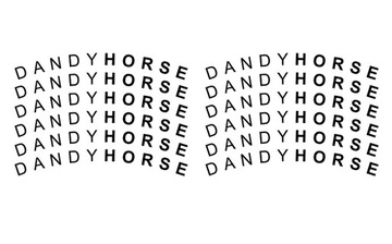 Набор наклеек DANDYHORSE на диски