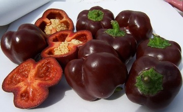 Paprika sweet chocolate czekoladowobrazowa 0, 5g legutko, фото