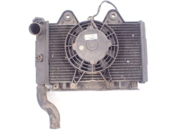Water radiator fan triumph tiger 900, фото
