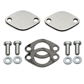 88. 4mm заглушка egr renault opel 2.2 2.5 dci cdti, фото