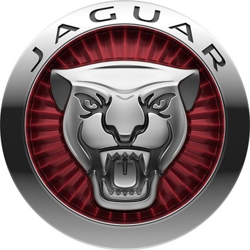 Фара передняя проводка jaguar, фото