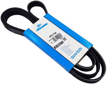 Dayco 5pk1745 v-belt polyclinic, фото