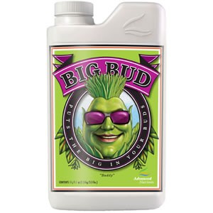 Advanced Nutrients Big Bud 250мл