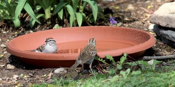 Podstawka okrągła Terra POD21 pod doniczkę DCE25