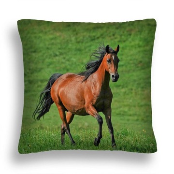 PODUSZKA 40x40 POSZEWKA + WKŁAD TRAWA GRASS KOŃ 23
