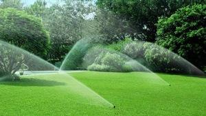 Роторный спринклер Rain Bird 3504 PC, роторный, 10 м