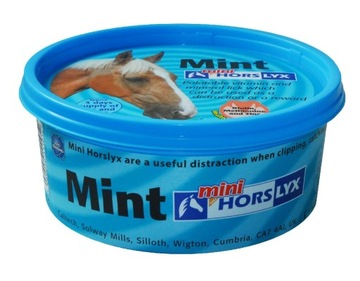 LIZAWKA HORSLYX witaminowa MINT 650g