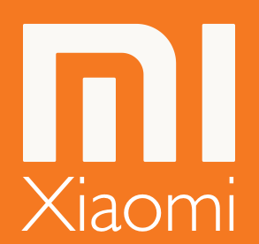 ЧЕМОДАН большой чехол XL Сумка XIAOMI YI XXL