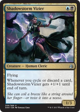 MTG 2x Shadowstorm Vizier (Uncommon)
