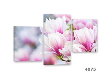 Pomost Obrazy na płótnie 90x60 Obraz Canvas