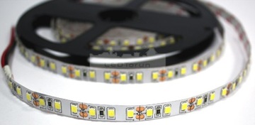 600 LED ЛЕНТА SMD 2835 LOW IP20 1м холодный белый