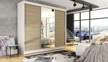 Aston ШКАФ-купе 250см с зеркалом, РАЗНЫЕ ЦВЕТА