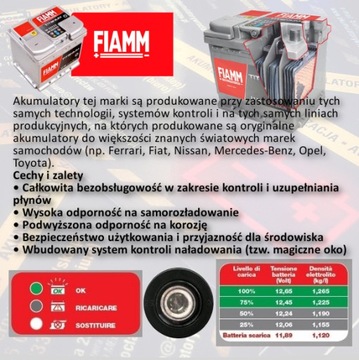 FIAMM Titanium PRO 100Ач 870А + [PGP+] + [УСТАНОВКА]