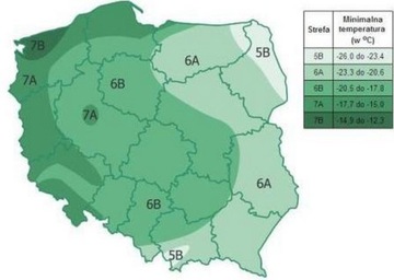 ПОСЕВ АЛЬБИЦИИ ШЕЛКОВОГО ДЕРЕВА в P9