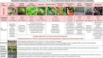 БИСТЕРАН ТР 50 1 кг перед массовой дезинфекцией