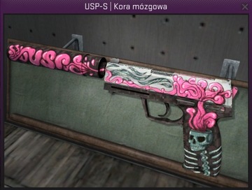 USP-S KORA MÓZGOWA CORTEX CS GO skin Clutch CS2