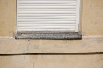 Иглы с шипами для голубей, птиц, отпугиватель птиц