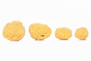 Губка SEA Sponge Natural Grass Тропическая губка среднего размера