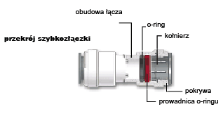 Колено 1/8 дюйма + обратный клапан + зажим.