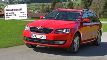 Мигалка указателя поворота зеркала Skoda Octavia III 13