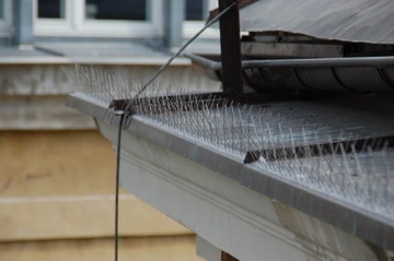 Иглы с шипами для голубей, птиц, отпугиватель птиц