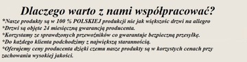 ПОЛЬСКИЕ ДВЕРИ СО СВЕТОМ ОТКРЫВАЮТСЯ ОТ DAX PREMIUM ALU