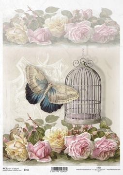 Papier ryżowy A4 R0759 - motyl klatka róże