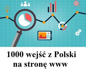 Движение на веб -сайт - 1000 записей из Польши!