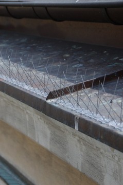 Иглы с шипами для голубей, птиц, отпугиватель птиц