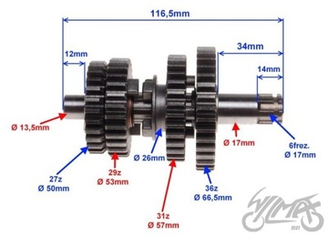 ZIPP NEKEN ZUMICO GR 500 ГБ УЛИЧНАЯ КОРОБКА ПЕРЕДАЧ