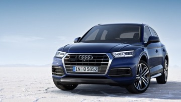 ЗАДНИЕ РЕЗИНОВЫЕ КОВРИКИ AUDI Q5 2017 - 2019 ОРИГИНАЛЬНОЕ КАЧЕСТВО ОБСЛУЖИВАНИЯ ПРЕМИУМ