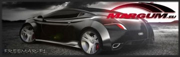120/60ZR17 DUNLOP SPORTMAX GPR300 120/60/17 ПЕРЕДНЯЯ ШИНА 55W TL