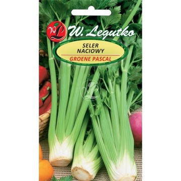 SELER naciowy Groene Pascal Apium NASIONA 0,50g