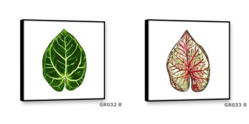 Obrazy na płótnie 30x30 Obraz Nowoczesny LIŚĆ