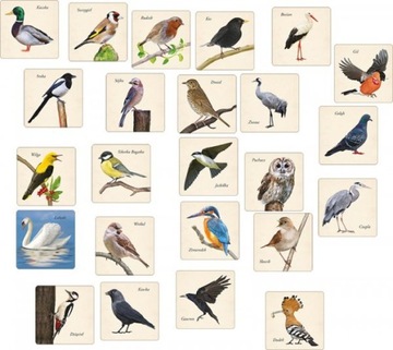 Memory Birds Memory Game Адамиго Памятка