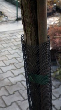 OSŁONKA SIATKA DO DRZEWEK PRZED ZWIERZĘTAMI 110cm