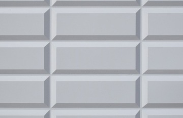 ПЛАСТИКОВАЯ ПЛИТКА НАСТЕННЫЕ ПОКРЫТИЯ ПВХ ПЛИТКА L2