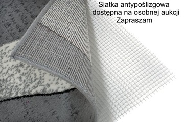 фото ориг. №12, Carpet 300x400 colored carpets plush bcf t238bw