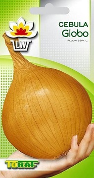 CEBULA GLOBO (ALLIUM CEPA L.) PÓŻNA BARDZO DUŻA DO 1 KG - NASIONA 2 G
