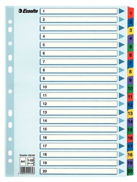 ESSELTE PRZEKŁADKI KARTONOWE MYLAR A4 1-20 mix