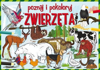 Poznaj i pokoloruj zwierzęta Kolorowanka plansze A3 prezent dla trzy latka